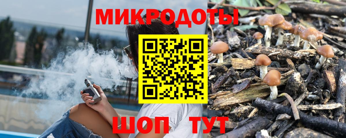 Псилоцибиновые грибы ЛСД Бердск