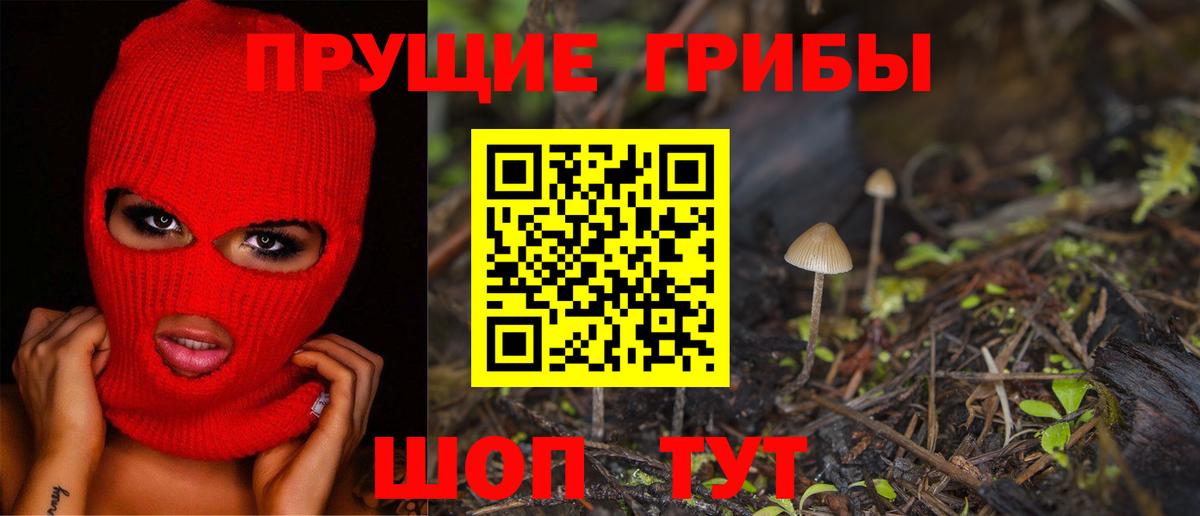 Бердск  что такое   Вход с VPN  Псилоцибиновые грибы Cubensis 